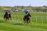 220426-Race 4-Borjina-0476