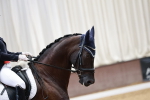 SBM_005035