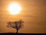 Waiting for the sun to set, Gawsworth