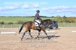 BPP_8987