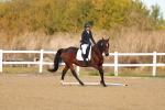 SBM_009253