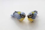 Blue Tits.