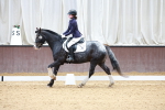 SBM_000219