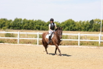 SBM_000994
