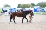 SBM_15320