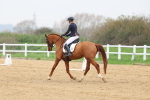 SBM_006603