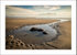 rockpool -2141