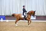 SBM_008987