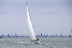 190803 TRAMP OF AIRLIE GBR7055T 1Y3A7752