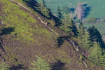 Lords Seat-4