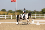 SBM_004271