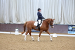 SBM_002358