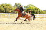 SBM_002614