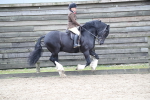 SBM_007074