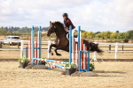 SBM_006554