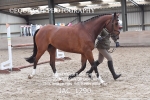JAC_1290