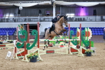 SBM_008384