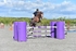 BPP_5629