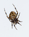 20151003-3K8A0004