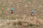 Black Combe-533