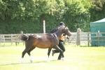 SBM_09080