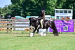 SBM_19411