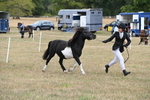 WJ6_5333