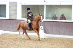 SBM_001055