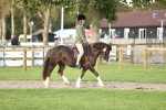 SBM_29543