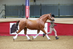 SBM_00540