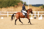 SBM_018501
