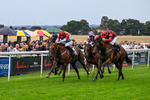 290826-Race 5-Supreme Clarets-7385
