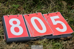 240825X-142252-34646