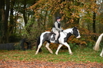 WJ6_9105