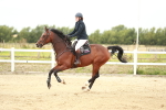 SBM_004931