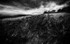 Grass and clouds