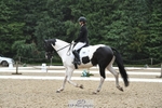123-Michelle_Wallis-Alvescot_Winning_Mood portfolio