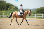 SBM_009978