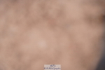 240505A-102634-04549
