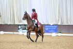 SBM_006132