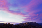 Photo of the Week 4/09/2012
