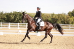 SBM_016997