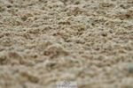 230702A-094825-08207