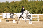 SBM_018536