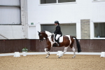 SBM_001622