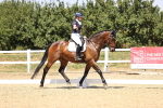 SBM_004817