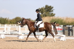 SBM_01854