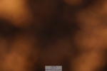 240628A-200332-01198