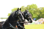 SBM_06645