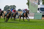 160726-Race 4-Park Lane Penny-4675